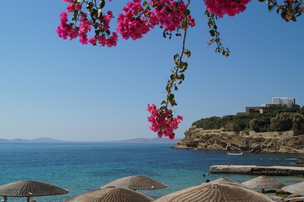 Amazing View Hotel Apartments Agios Stefanos  Extérieur photo